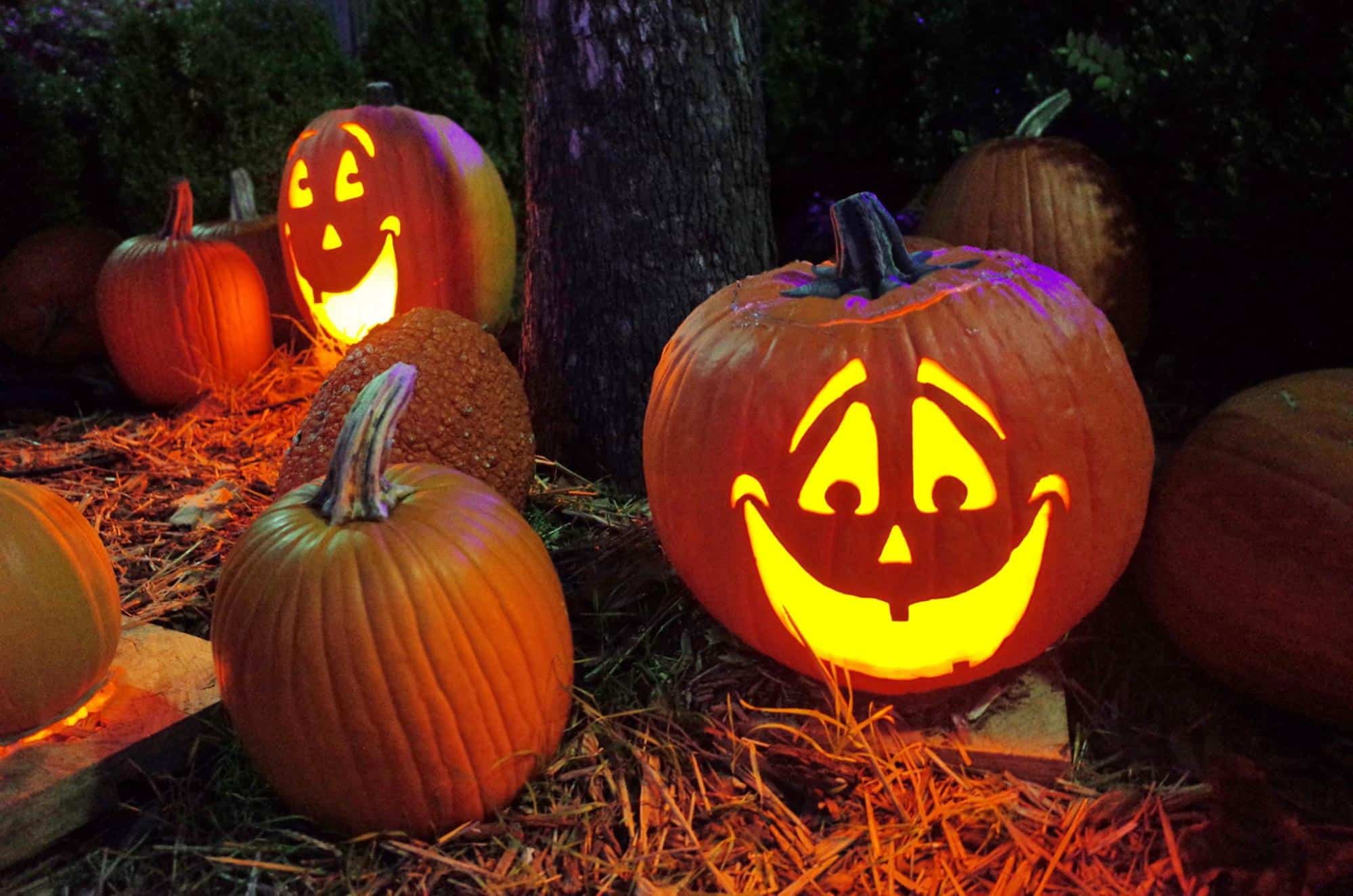 Pumkinferno 2022 Set to Light Up 7,000 Pumpkins
