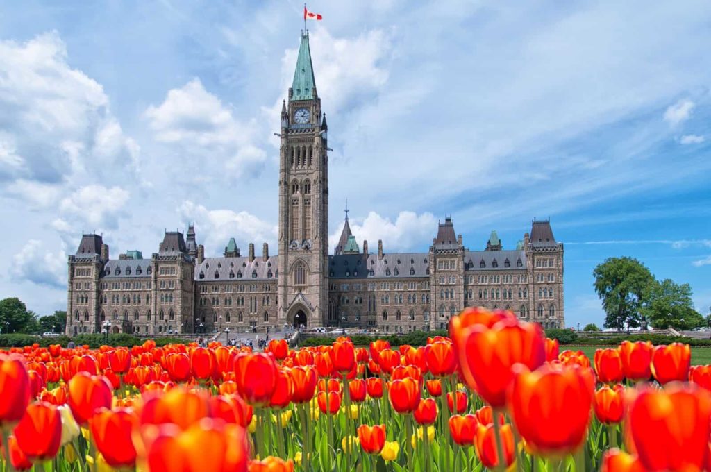 Attending the Canadian Tulip Festival