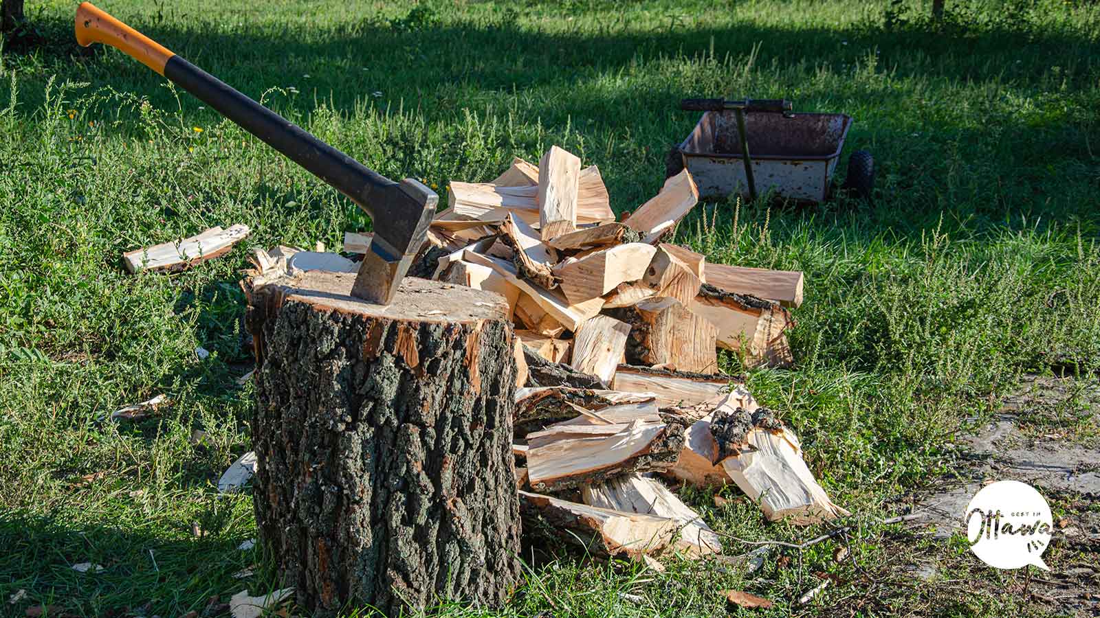 Best Wood Cutting Services in Ottawa