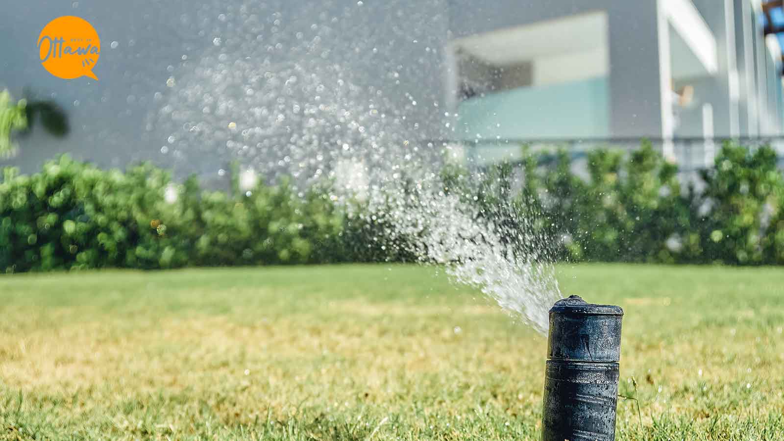 Best Sprinkler Repair Services in Ottawa