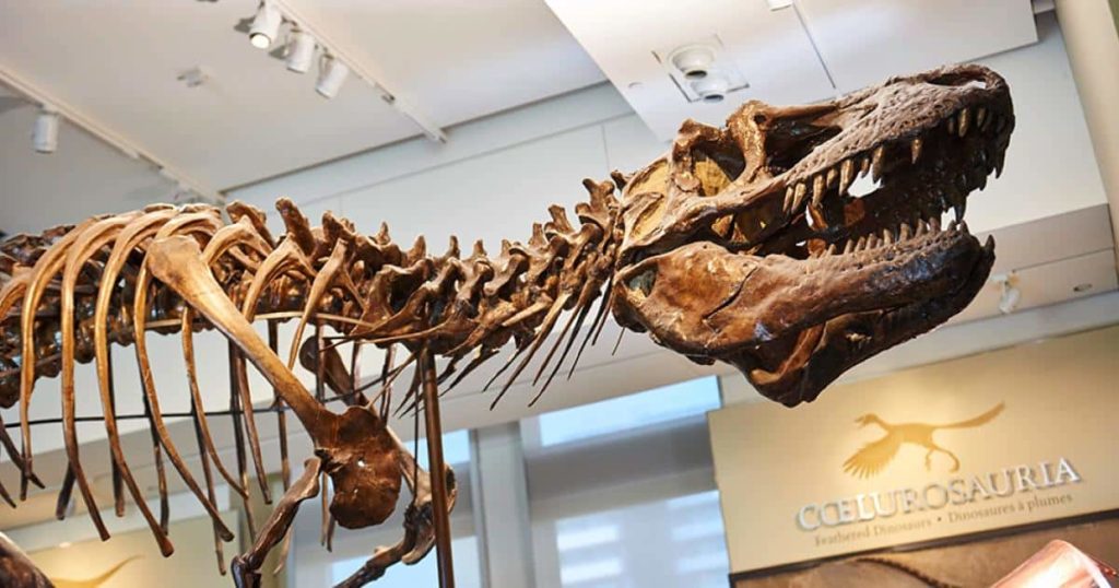 Canadian Museum of Nature