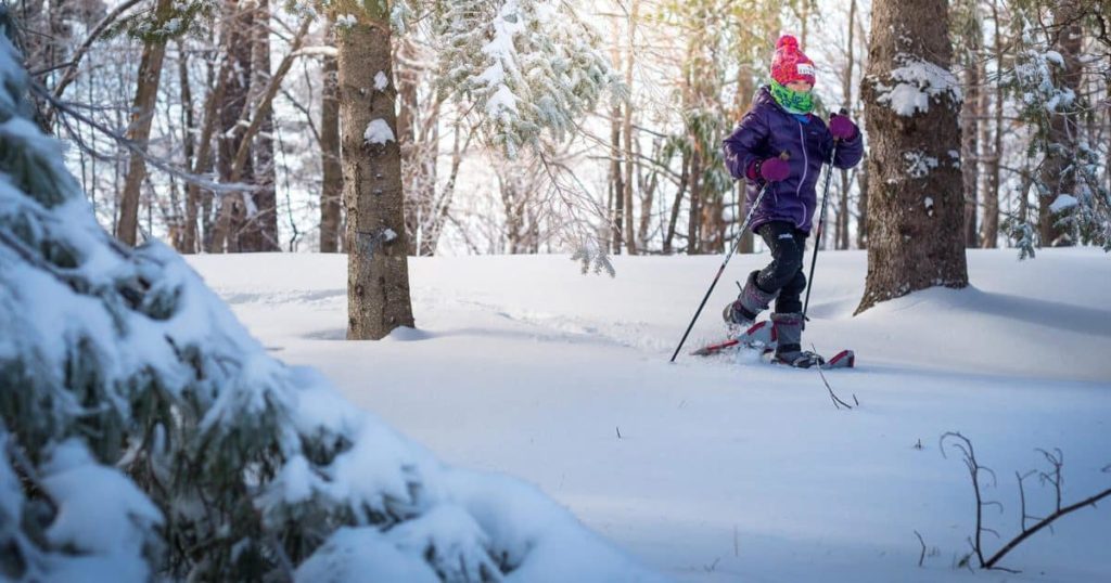 Snowshoeing at Gatineau Park