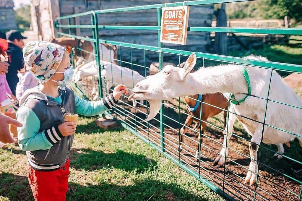 Bushels of Fun Down on the Farm