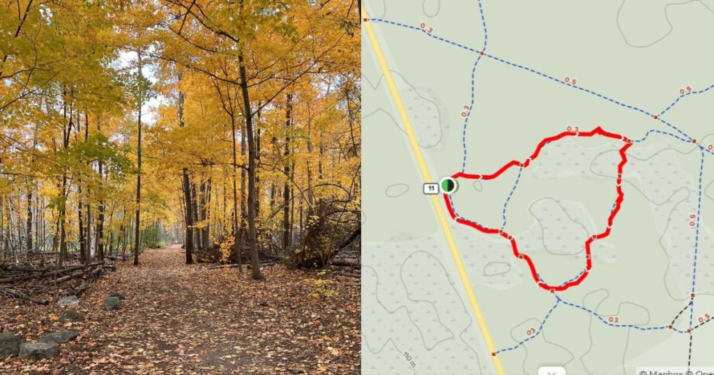 Jack Pine Trail