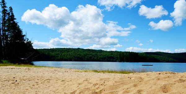 Make it a Beach Day