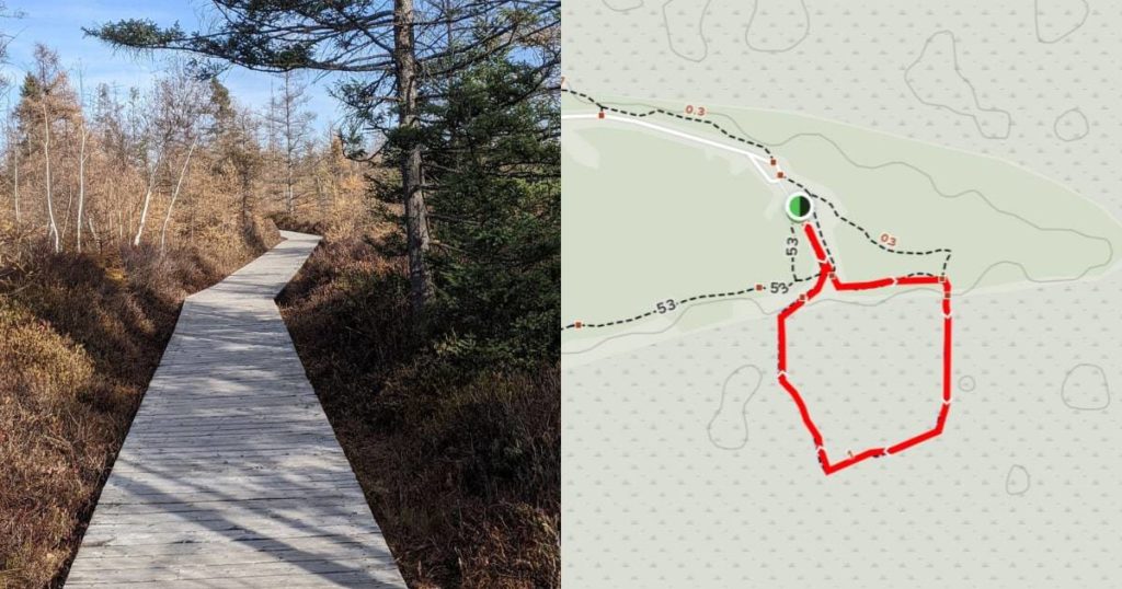 Mer Bleue Bog Trail
