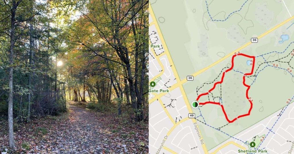 Old Quarry Trail