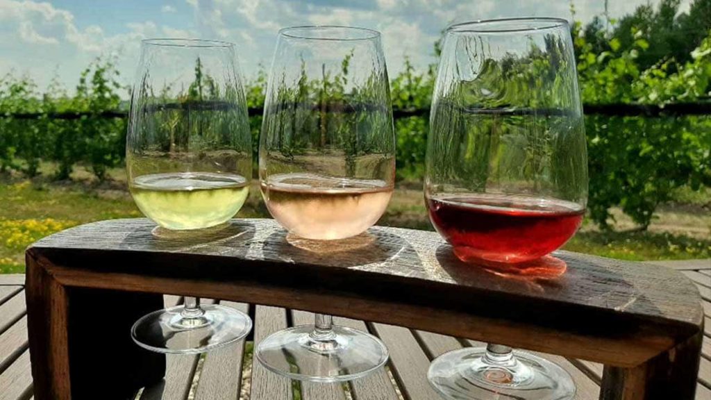 Visit a Local Winery