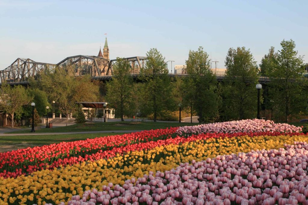 Visit the Canadian Tulip Festival