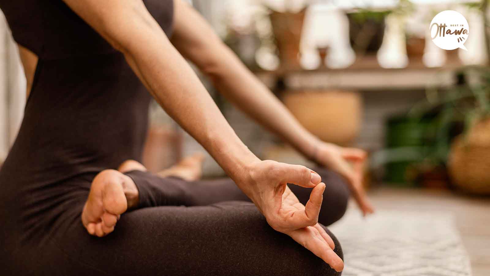 Best Yoga Therapy Centers in Ottawa