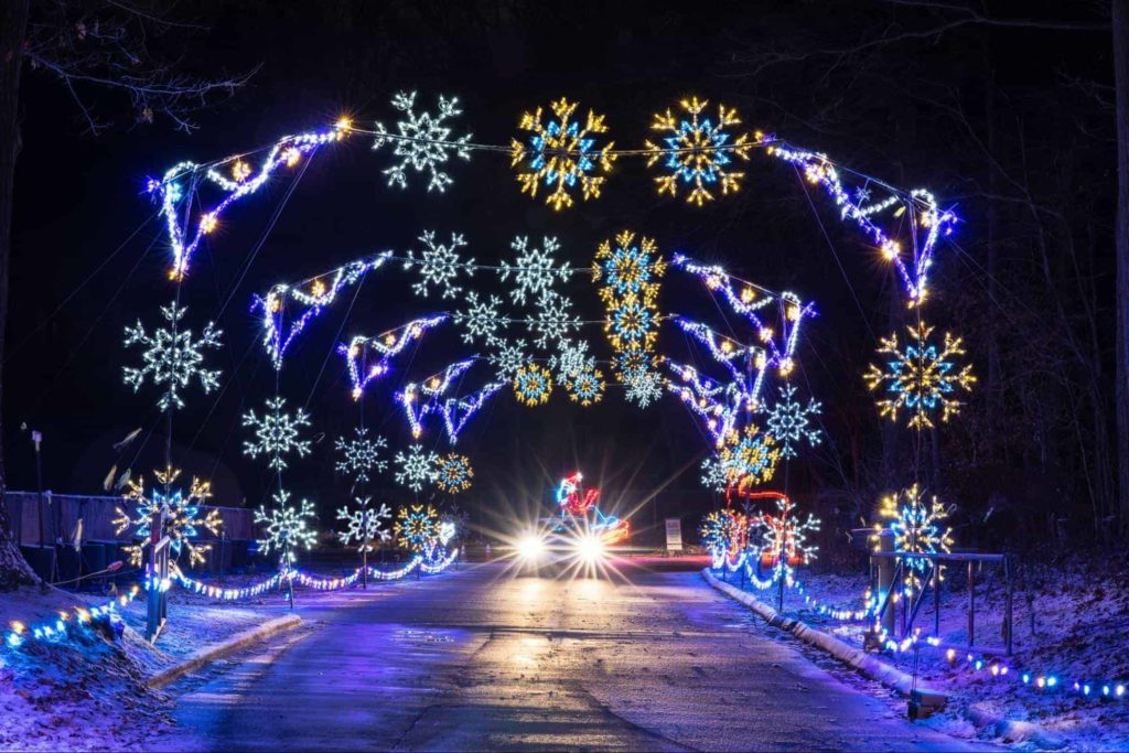 Cruise through the Magic of Lights
