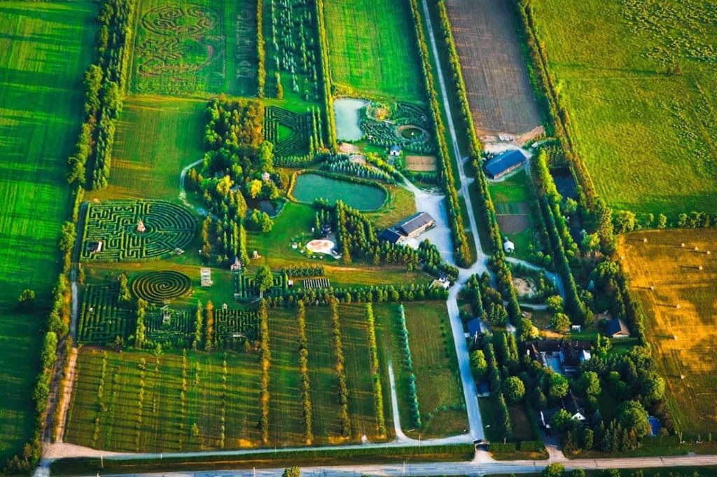 Get lost at the Saunders Farm’s maze