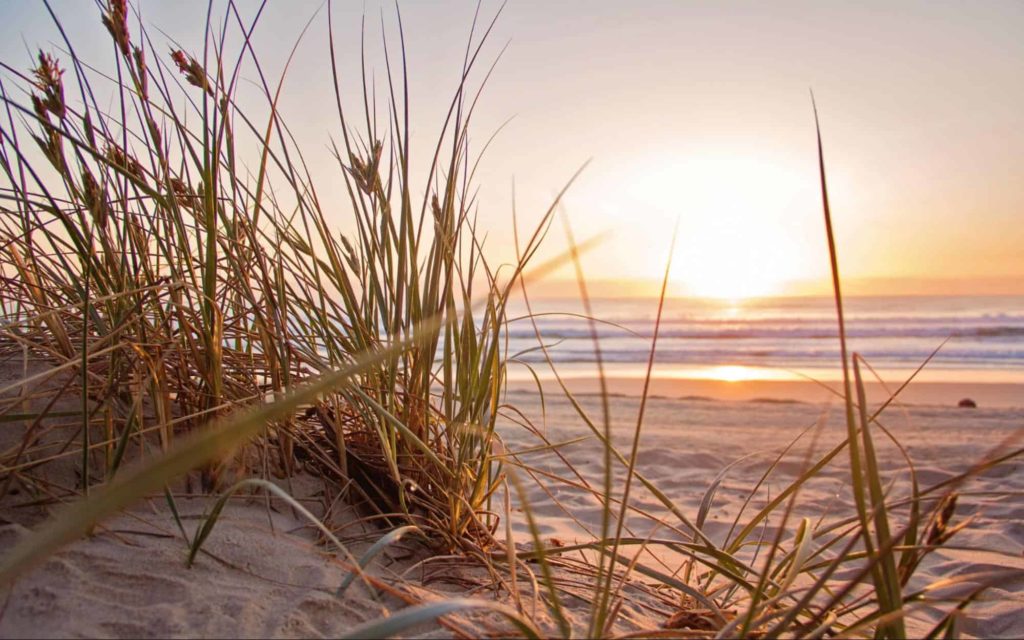Have a beach trip