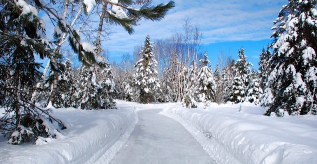 Patinage En Foret by Hannah Manning