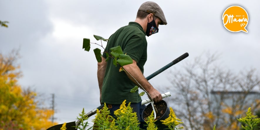 5 Best Gardeners in Ottawa