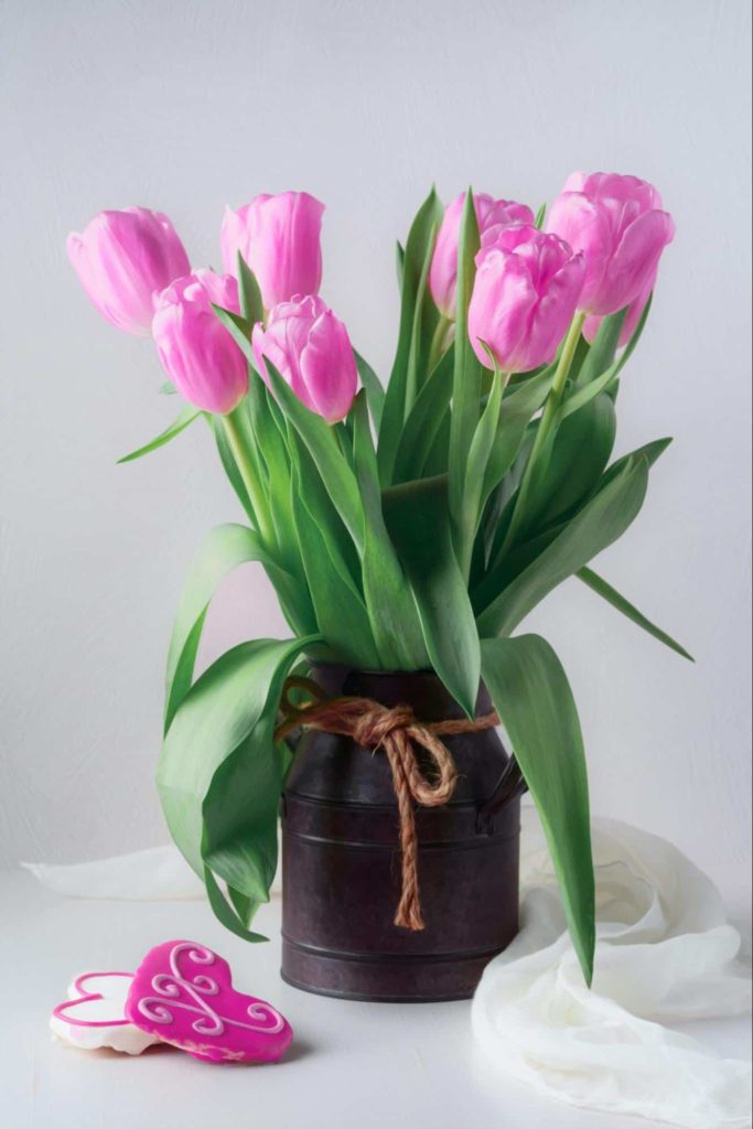Join the Fun Tulip Time Festival Announces Expanded Activities image 3