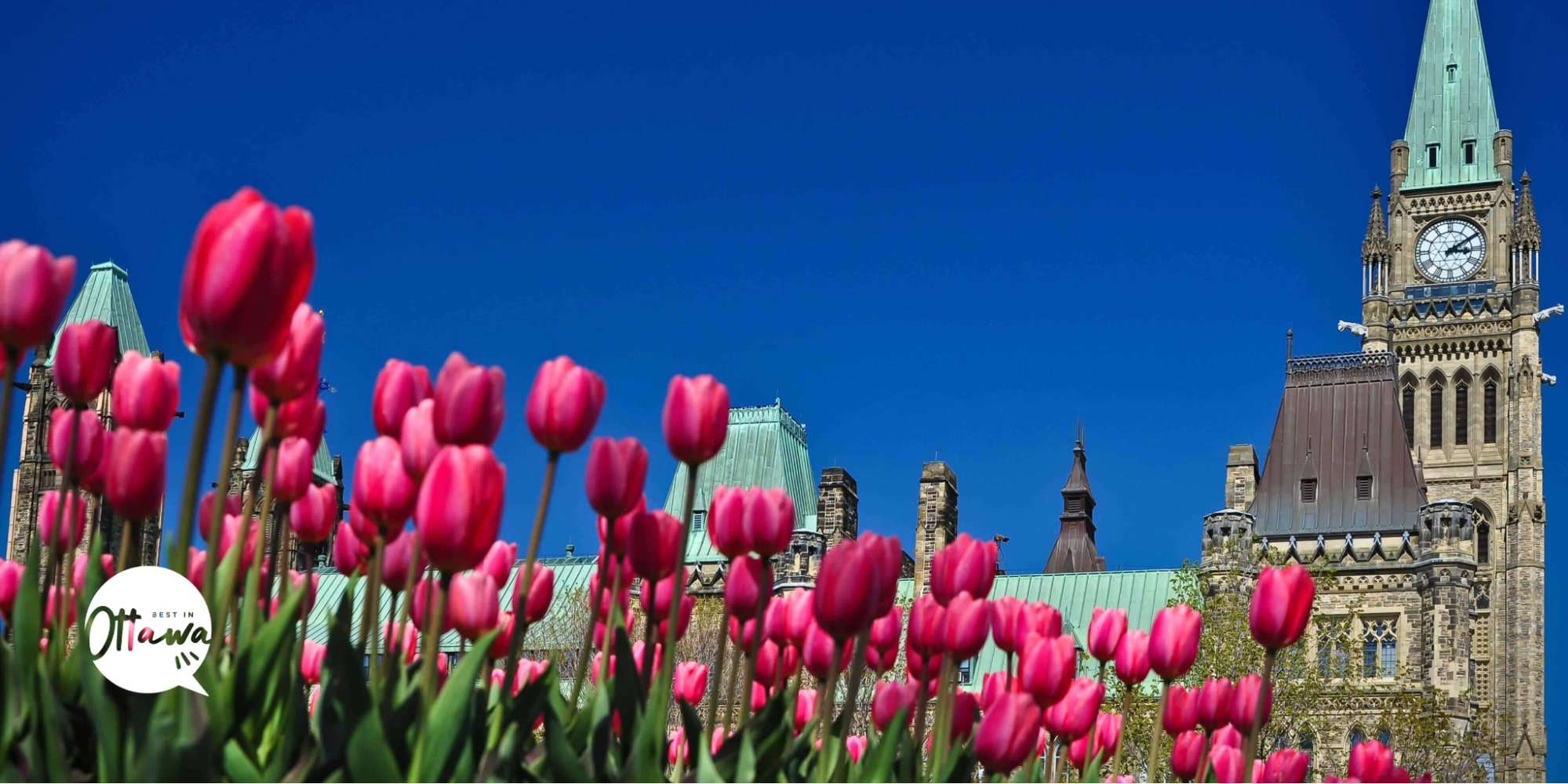 Spring Into Bloom Flower Festivals to Visit in Ontario