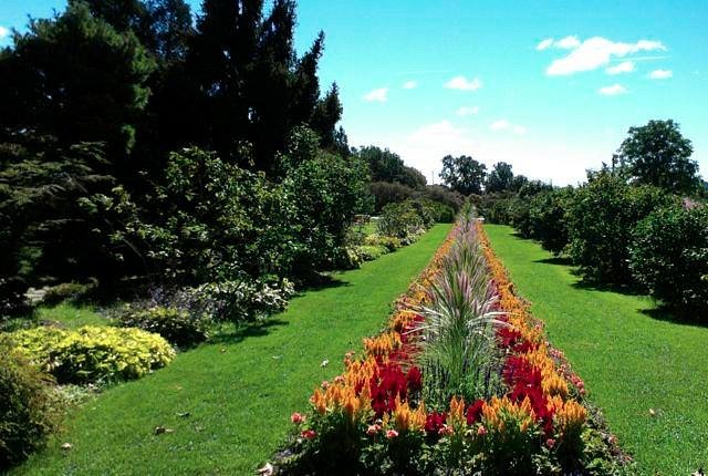 Arboretum Tree Tours