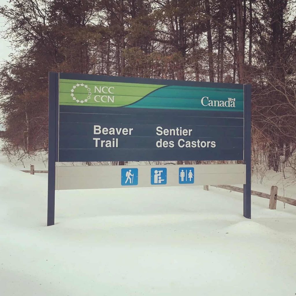 Beaver Trail