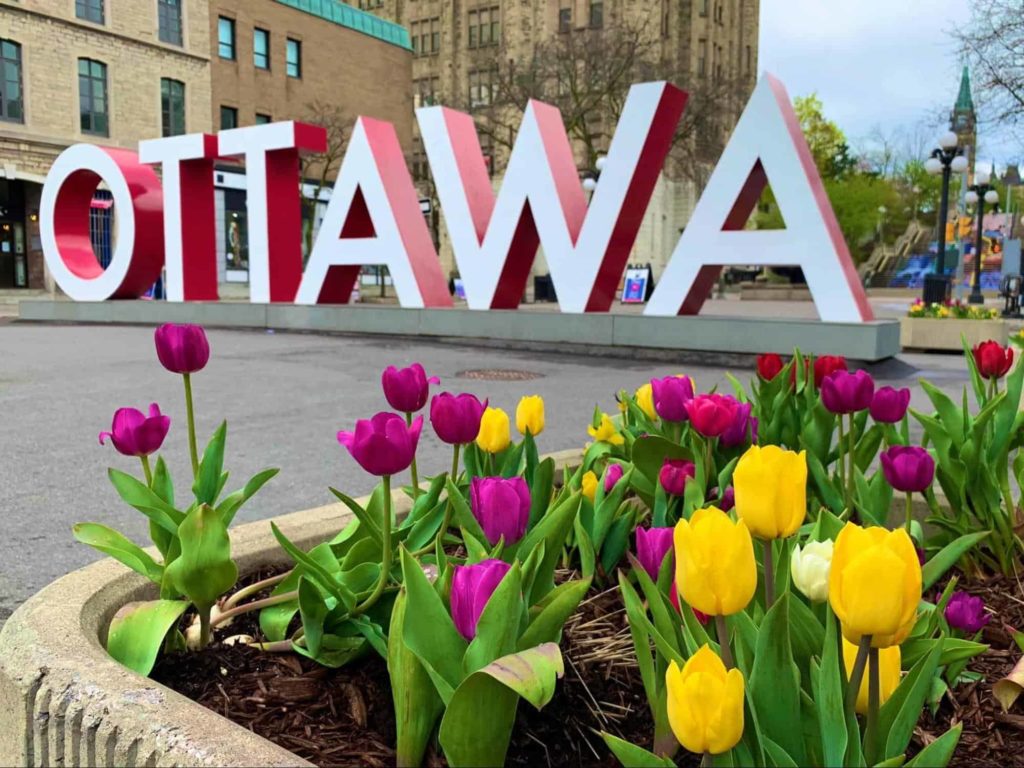 Canadian Tulip Festival