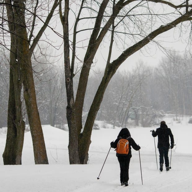 Centre de plein air du Lac-Leamy Trail