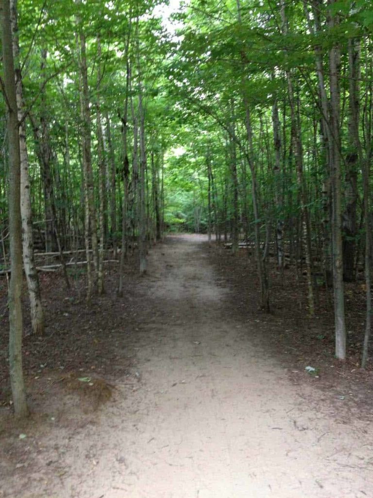 Conroy Pit