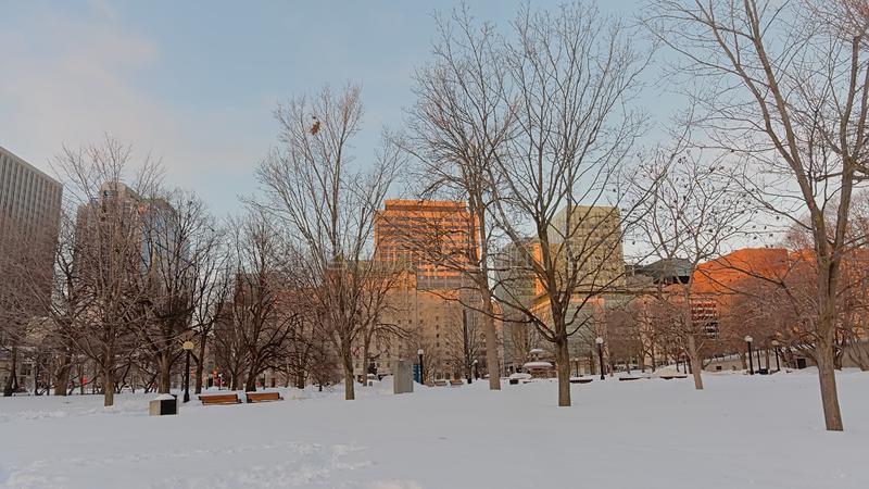 Enjoy the winter activities