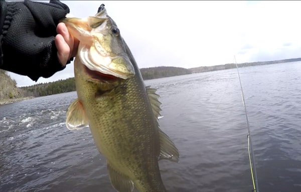 Fishing