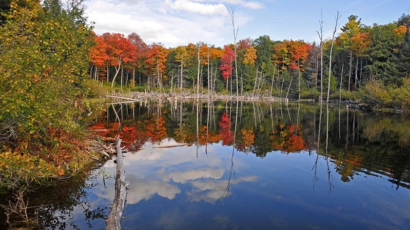Gatineau Park