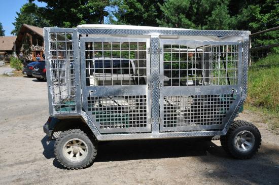 Golf Cart Rental
