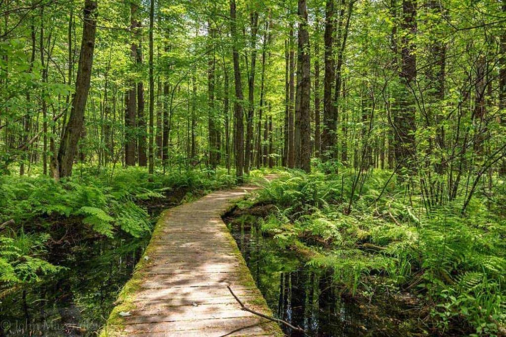 Greenbelt Pathway East