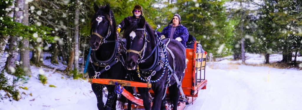 Horse Sleigh Rides