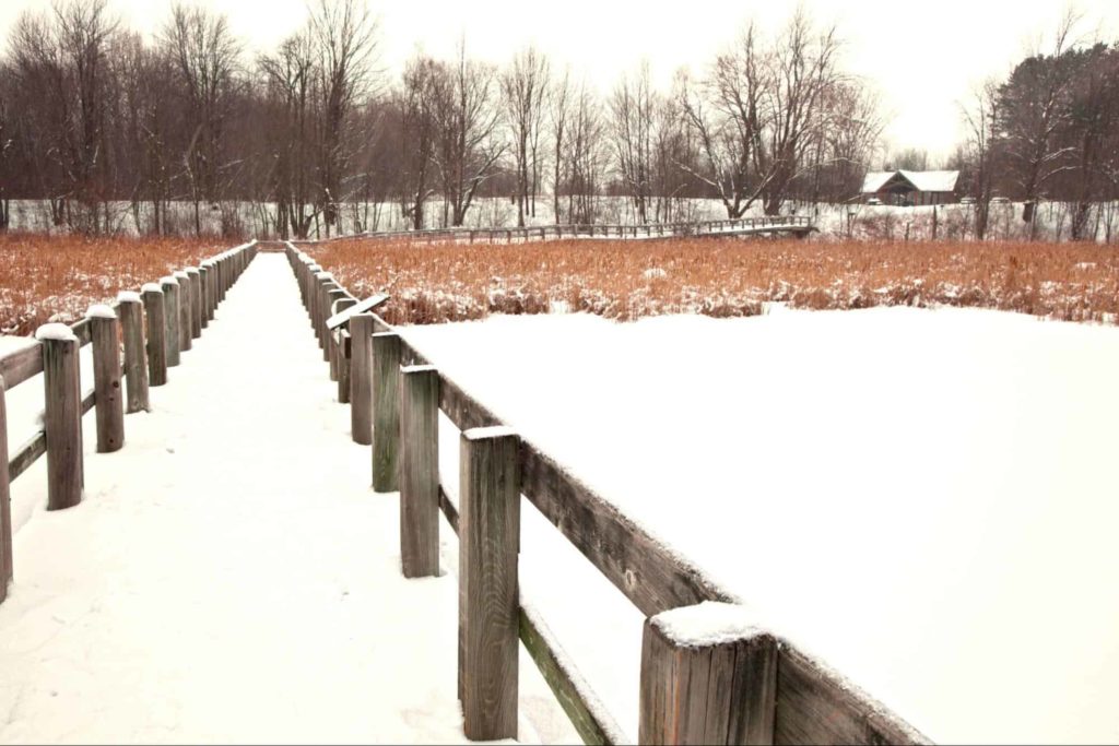 Mer Bleue Conservation Area Loop