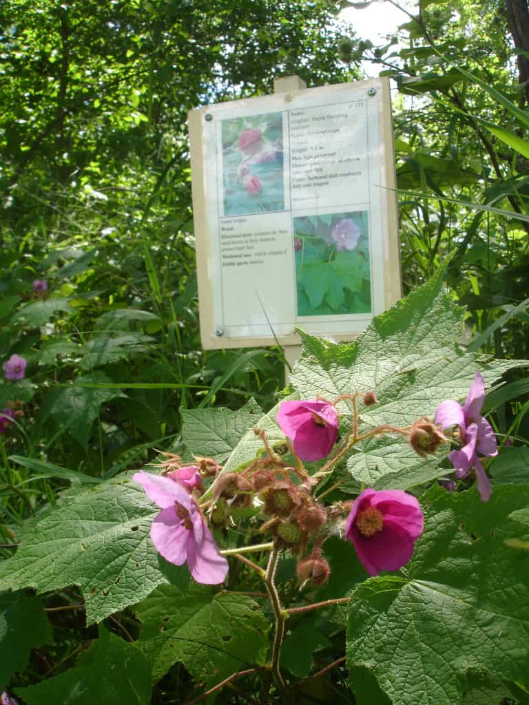 Nature Interpretation