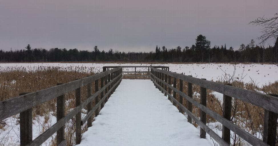 Sarsaparilla Trail