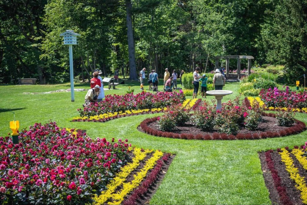 The Arboretum