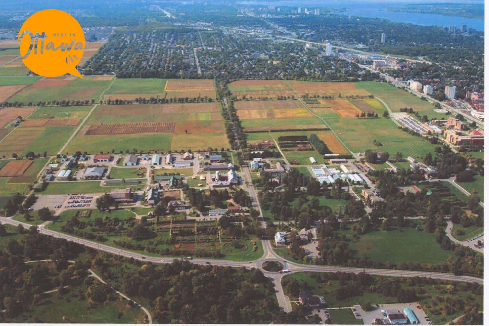 The Only Guide You Will Need for Ottawa’s Central Experimental Farm