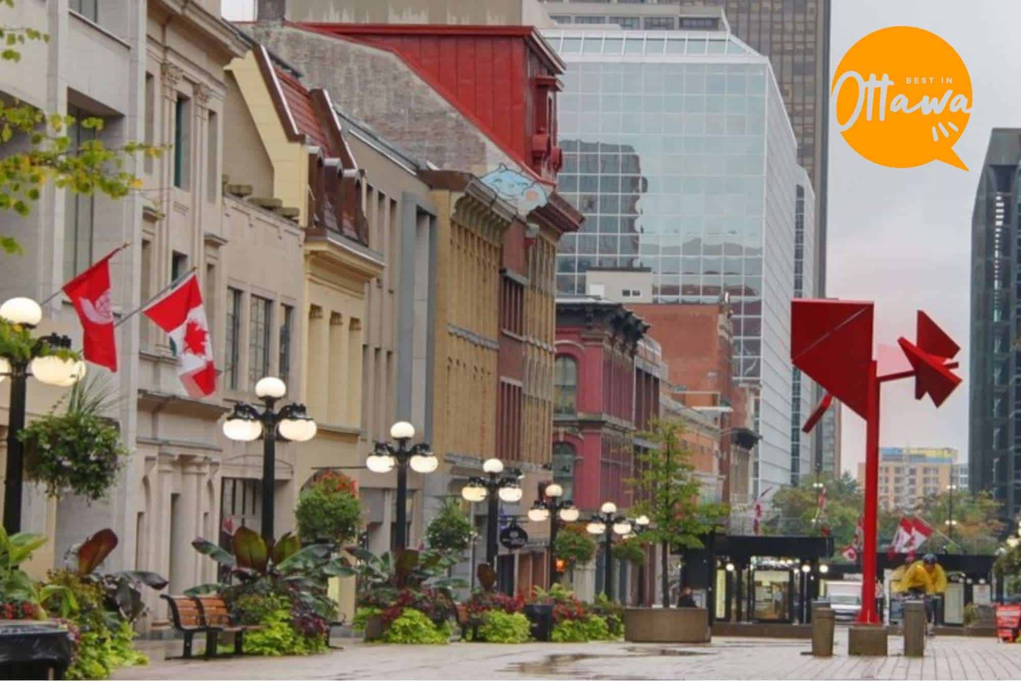 The Ultimate Insider's Guide to Ottawa's Vibrant Lifestyle