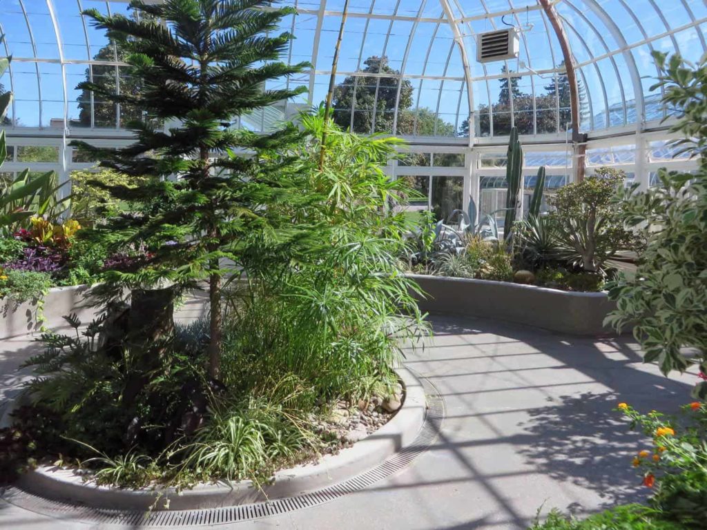 Tropical Greenhouse