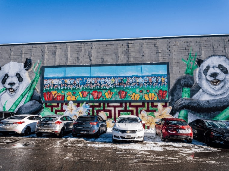 Visit the Chinatown Ottawa murals