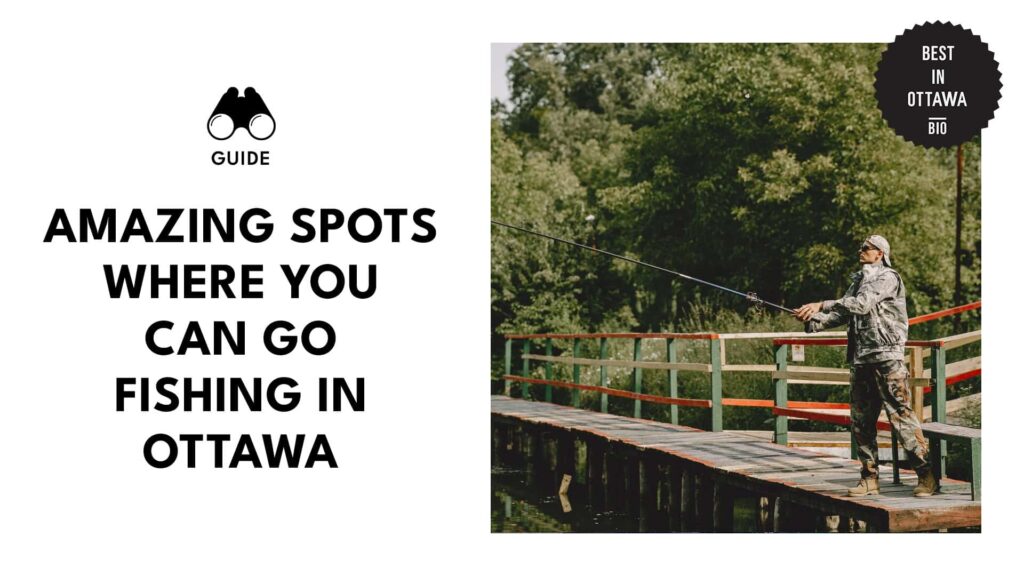 10 Best Fishing Spots in Ottawa [REVEALED] [2026 ]