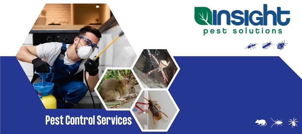 Insight Pest Solutions Ottawa