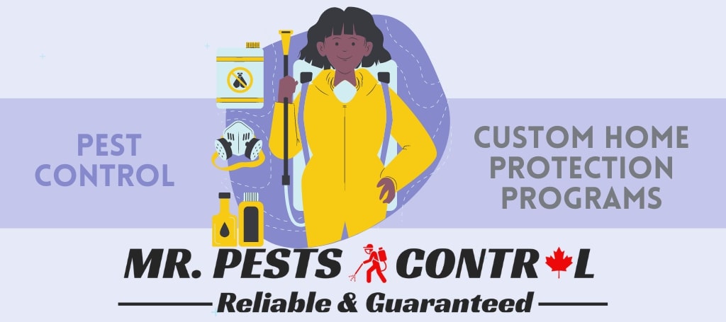 Mr. Pests Control Ottawa & Wildlife Removal