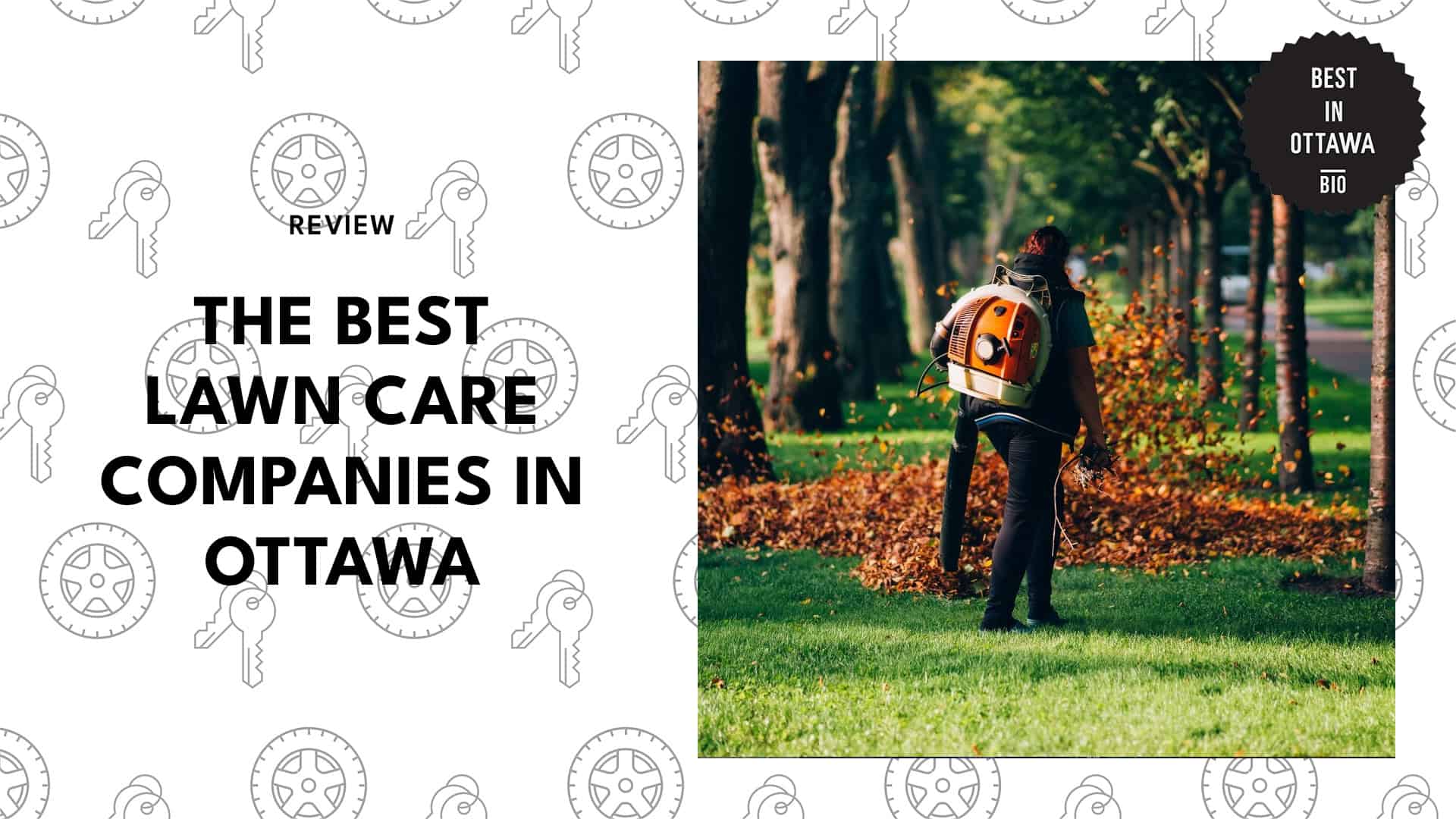 Best Lawn Care