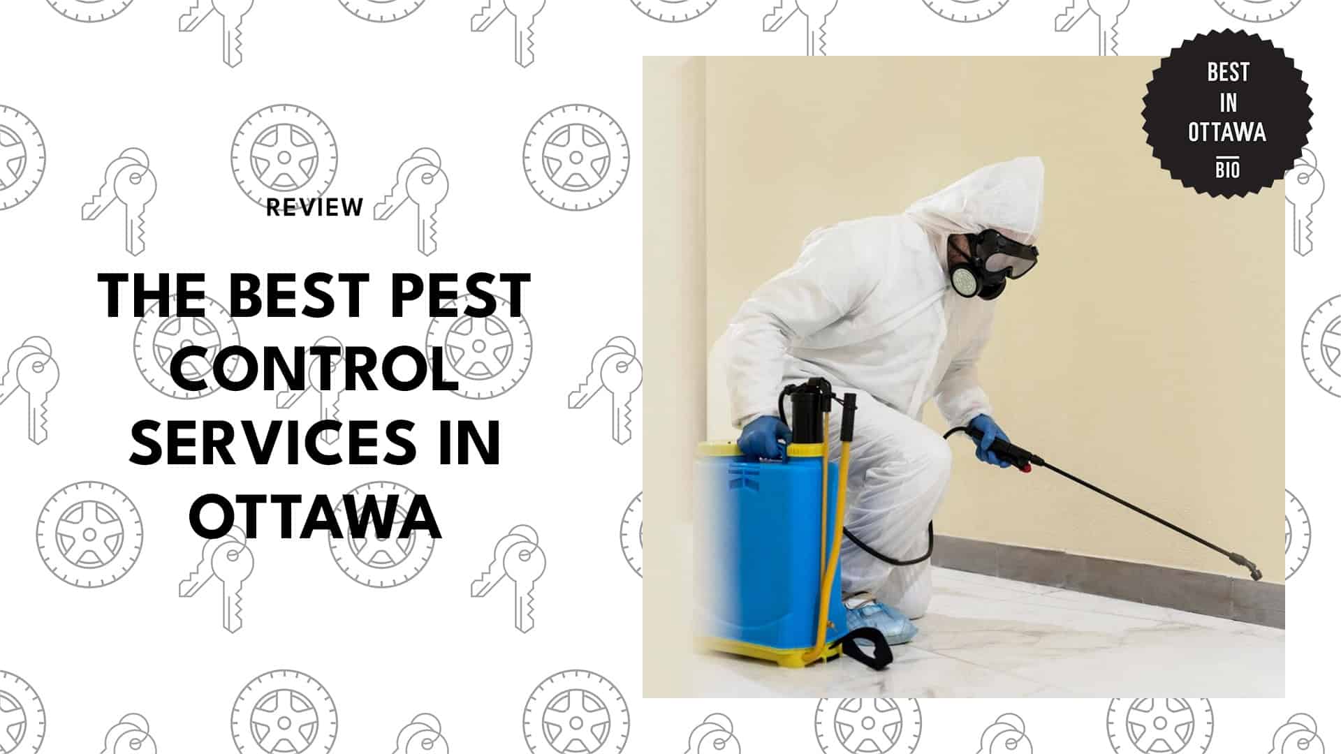 Best Pest Control Services