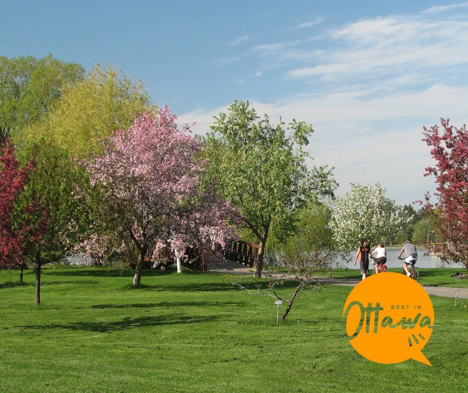Dominion Arboretum Guide to Ottawa's Botanical Treasure