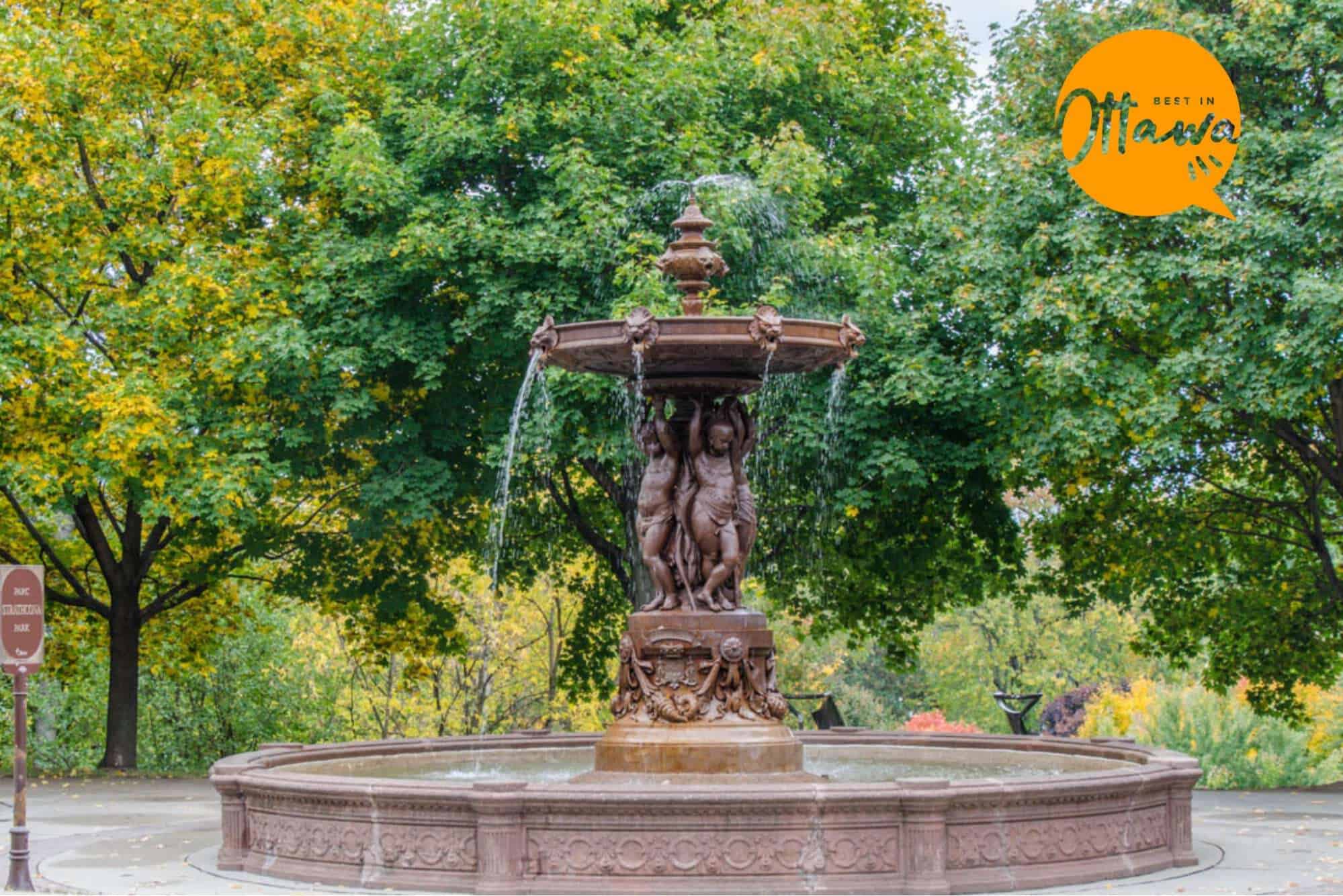 The Ultimate Guide For an Incredible Outing in Ottawa’s Strathcona Park