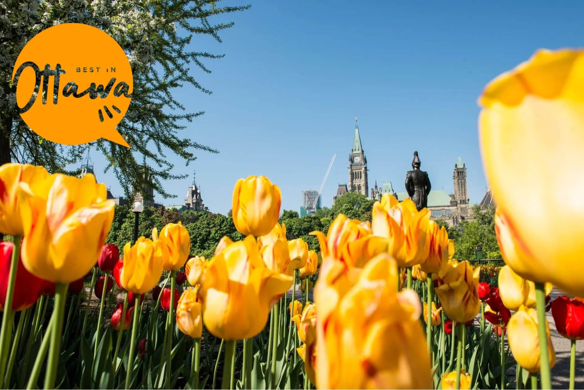 Awesome Activities to Make Ottawa’s Springtime Much More Exciting