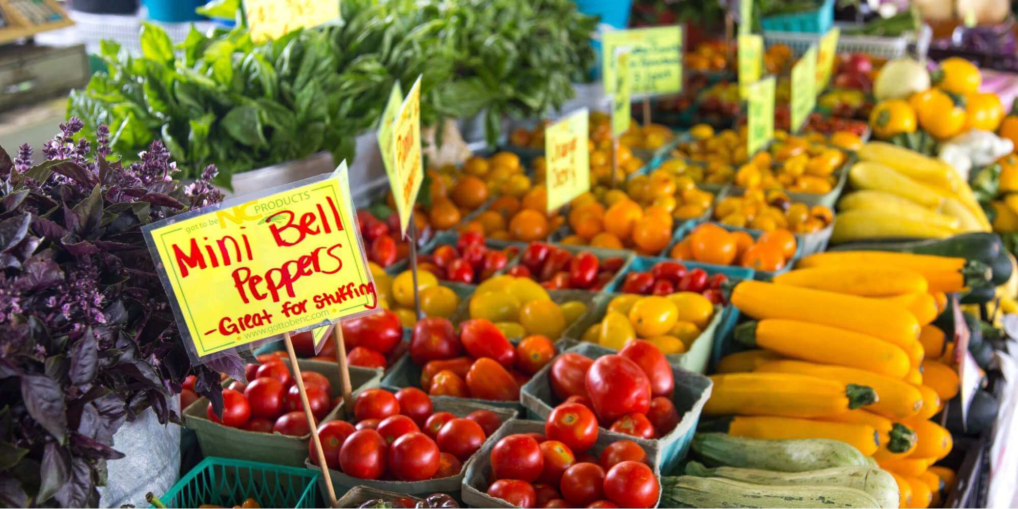 From Farm to Fair Experience the Agricultural and Fall Fests in and near Ottawa This September