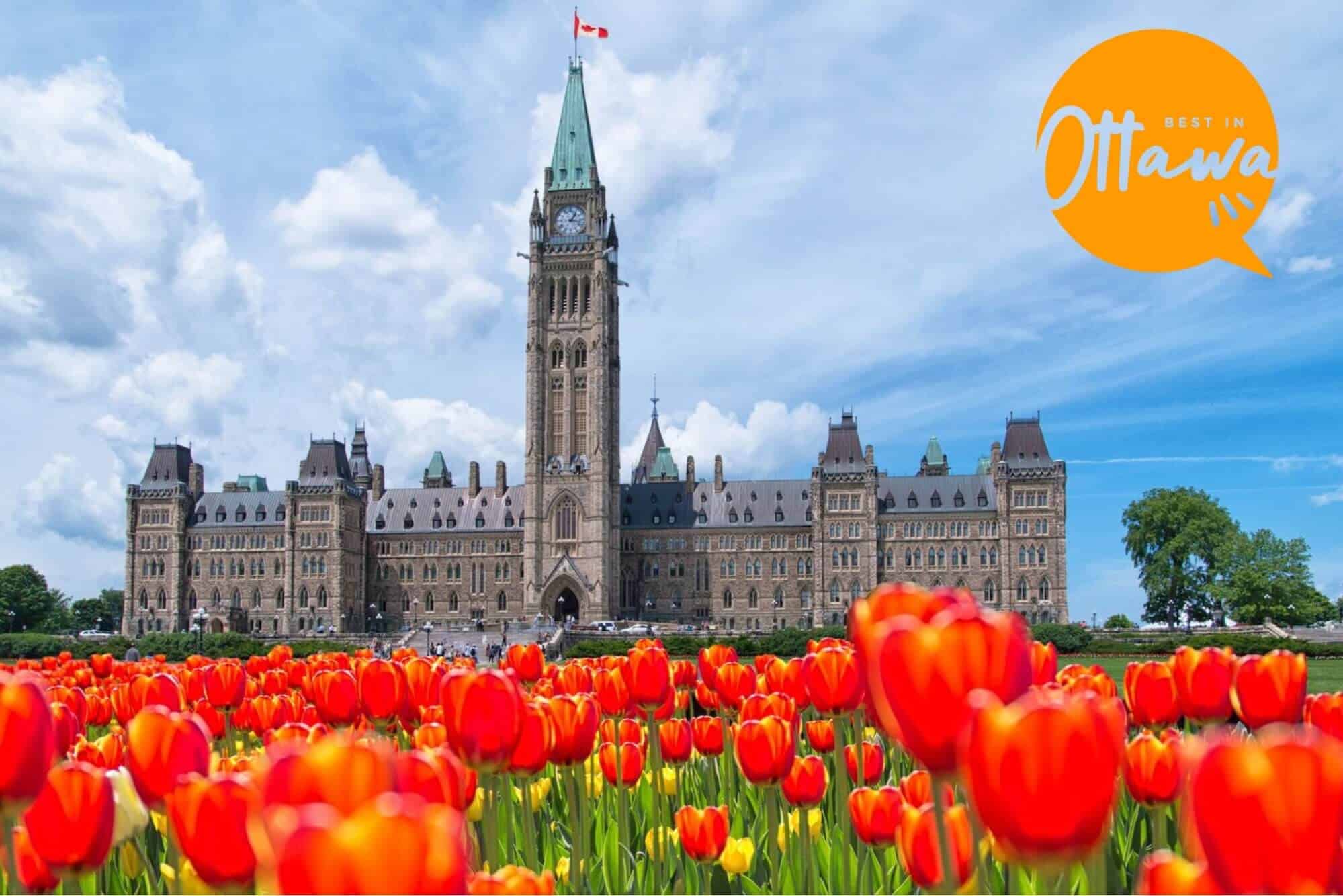 The 10 Most Exciting Activities You Can Do in Ottawa’s Tulip Festival